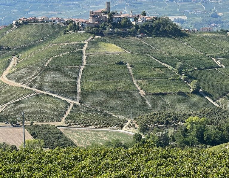 Uma primeira visita ao Langhe, Piemonte – Barolo