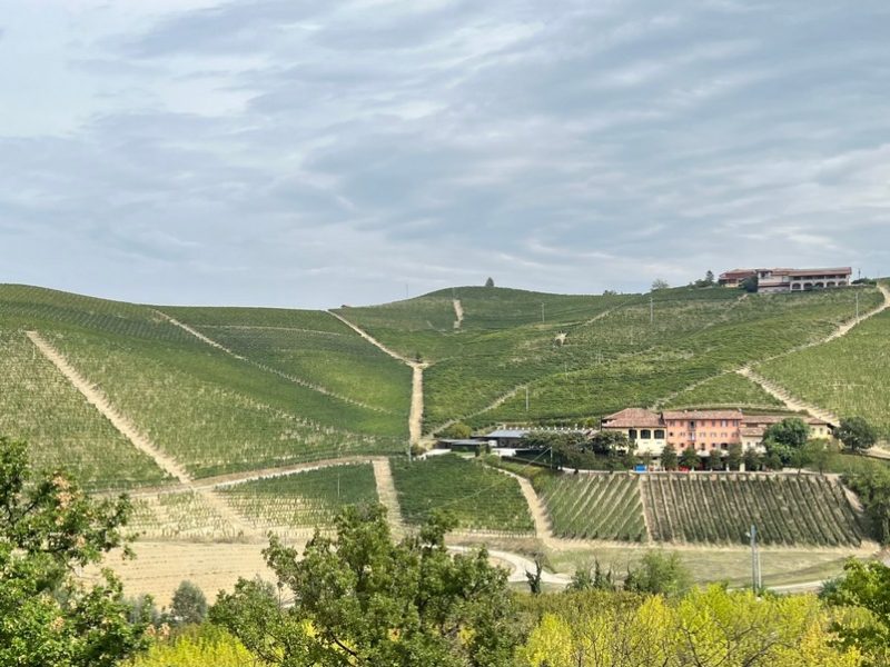 Tenute Cisa Asinari dei Marchesi di Grésy, Barbaresco