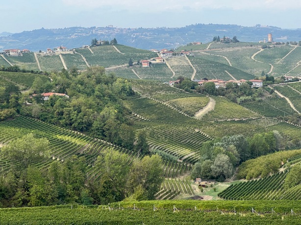 Uma primeira visita ao Langhe, Piemonte – Barbaresco